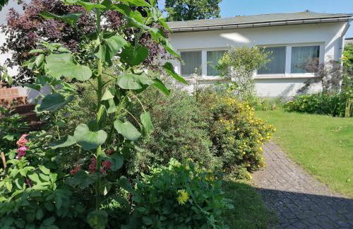 Pension Haus Anneliese - Foto 27