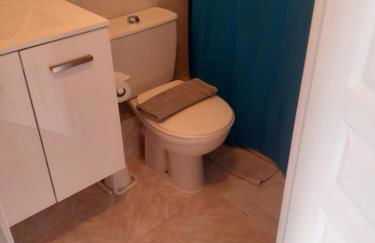 L'oiseau bleu - Foto 55