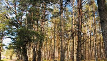 Znowu wrócisz - Foto 3, Other