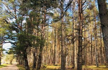 Znowu wrócisz - Foto 3