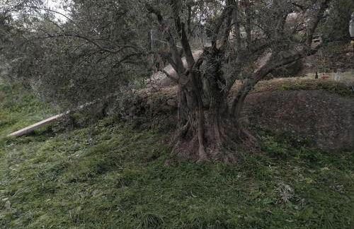 Cortijo Relatillos - Foto 28