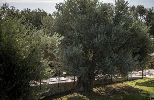 Isolaire Residences - Foto 22