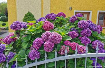 Landhaus Simon - Foto 58