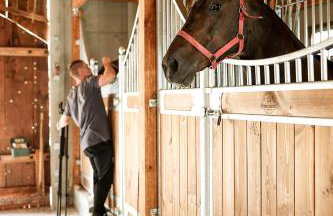 Agroturystyka Gajówka Pilica - Foto 52