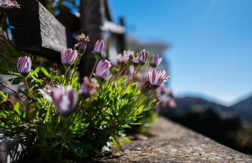 Casa Floriana - Foto 61