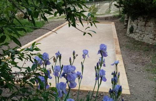 Mas de "La Garcine" - Foto 17