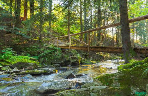 Osada Poli Zawoja - Panoramiczny Domek z Prywatną Balią i Hydromasażem - Foto 20