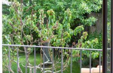 Alojamientos Rurality Home - Foto 17