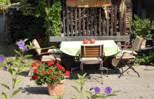 Ferienhof Selz - Foto 22