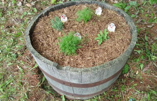 Woodland Hideaway - Foto 67