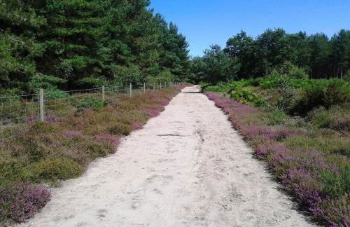 Kingfisher Cottage - Woodbridge - Foto 43