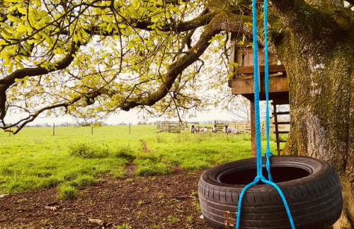 Barn End Cottage - Foto 33