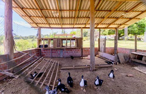 Villa Estoril - Foto 30