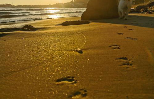 BELAZUR Entre plage et port - Foto 26