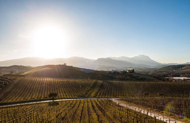 Masseria Ciavolich - Foto 23
