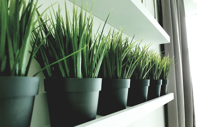 Holi 1Medini Suites - Foto 54