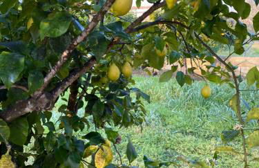 VILLA VITA - Foto 48