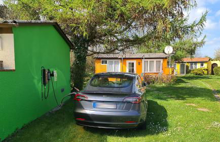 Bärenklau - Foto 20