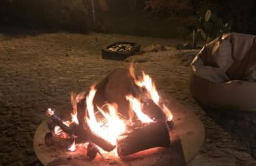 Quinta da Vinha do Souto - Foto 16