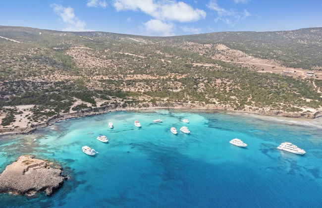 Sanders Olive - Chic 3-bdr Apt With Shared Pool - Foto 36