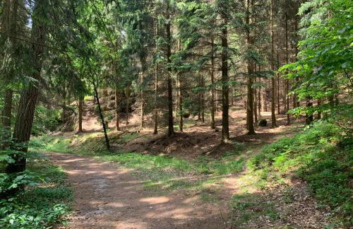 Holiday Home Dunja by Interhome - Photo 27