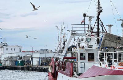 NADBAŁTYCKI ŚWIT - Gdynia Pogórze - Foto 56