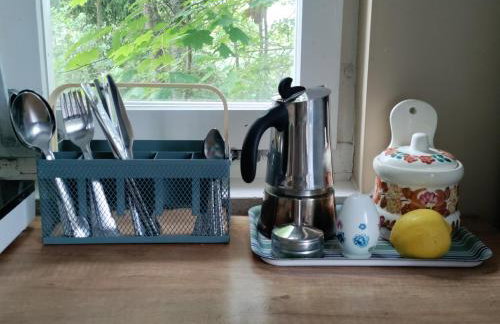 Widny Jaś zaprasza z psem nad jezioro na Kaszubach - Foto 23