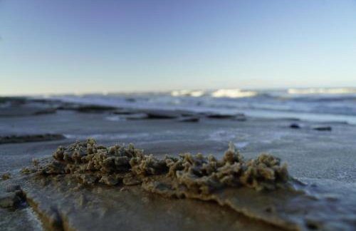 CICHAta Nad Zatoką - Foto 31