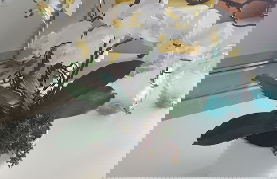 HeimatDorado R.D. your pleasant stay - Foto 30