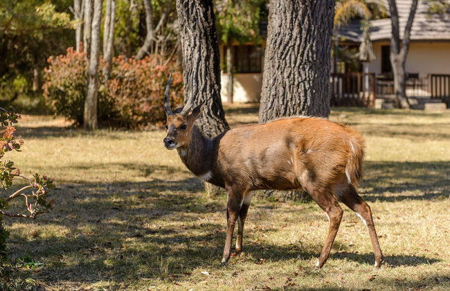 Waterberg Game Park - Photo 42