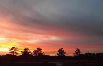 Sunset flat in Malhadais - Photo 11