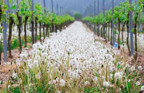 Appartement Familie Ernst - Foto 14