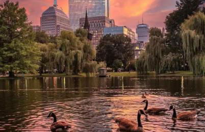 Luxury 3BR 2BA apt near Harvard with Free Parking - Foto 67