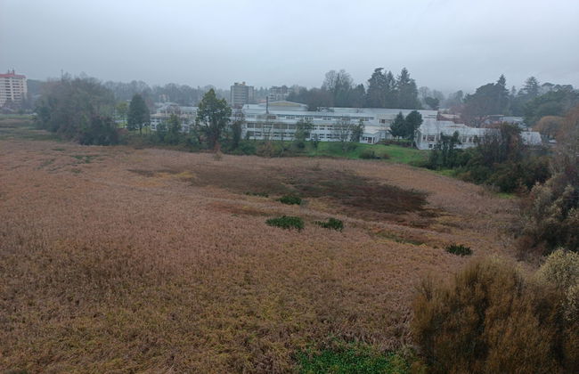 Departamento céntrico Isla teja 19 - Foto 60