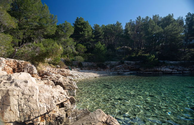 Olive Eden - Foto 24