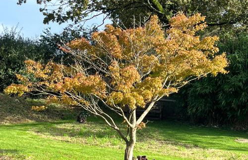 Primrose Cottage - Photo 18