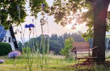 Fewo VOR DEM BERG Bergstraße 21 - Foto 10