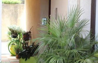 Sunce - Foto 1