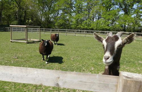 The Stables - 2 bed with large garden and hot tub. - Foto 17