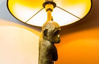 The Jungle! House with Hot Tub. - Foto 22