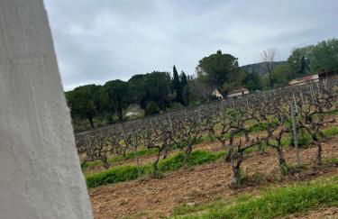 Appartement avec piscine au milieu des vignes - Foto 27