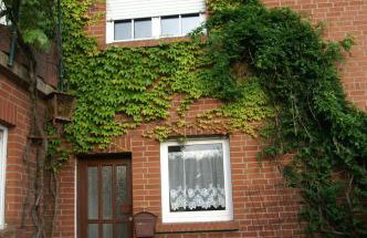 Ferienwohnung Landidylle - Foto 16