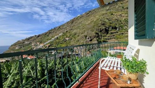 Banana Lovers - Farm View - Photo 4