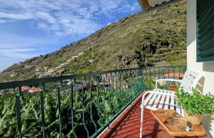 Banana Lovers - Farm View - Photo 4