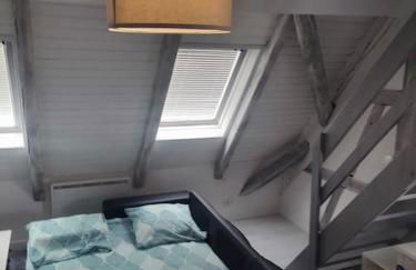 duplex aux portes de Strasbourg tram 100m - Foto 10