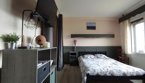 Studio avec belle vue proche du lac Genin Echallon - Foto 4