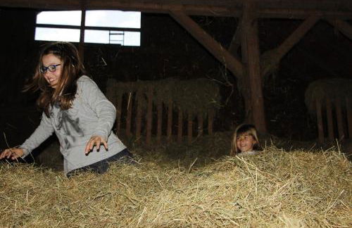 Ferienhof Stärk - Foto 68