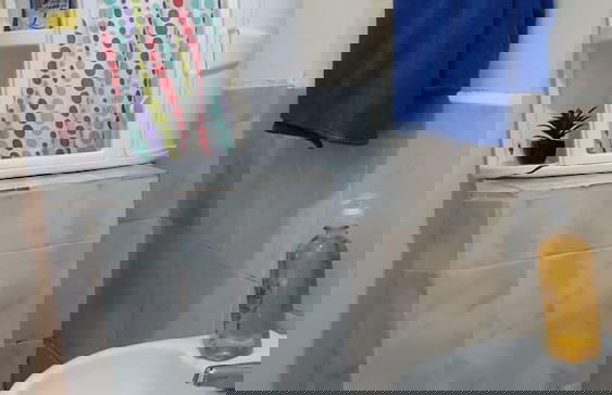 El Aguacate - Foto 8