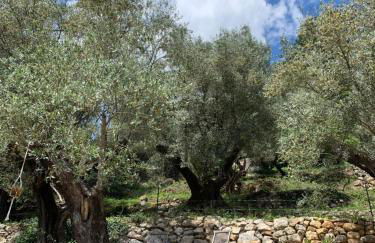 Lodge Casamance - Foto 23