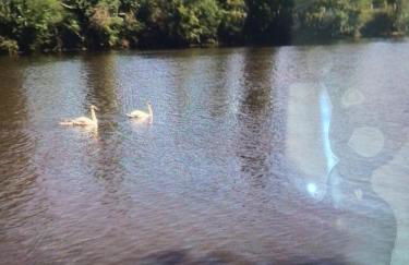 Studio avec piscine - Foto 29